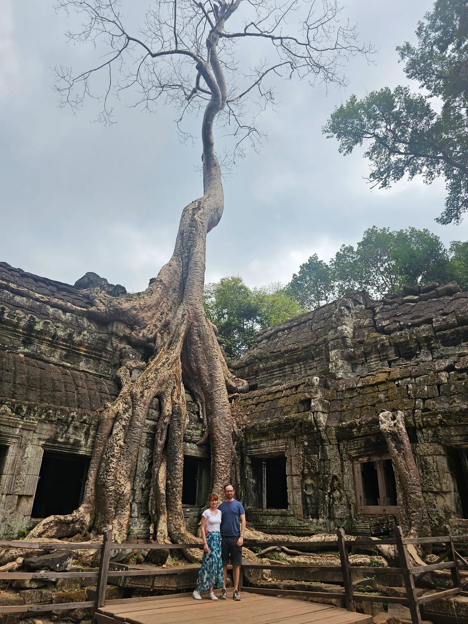 Ségolène et Antoine sur une plateforme en bois, au pied d'un arbre géant dont les racines enserrent les murs de Ta Prohm