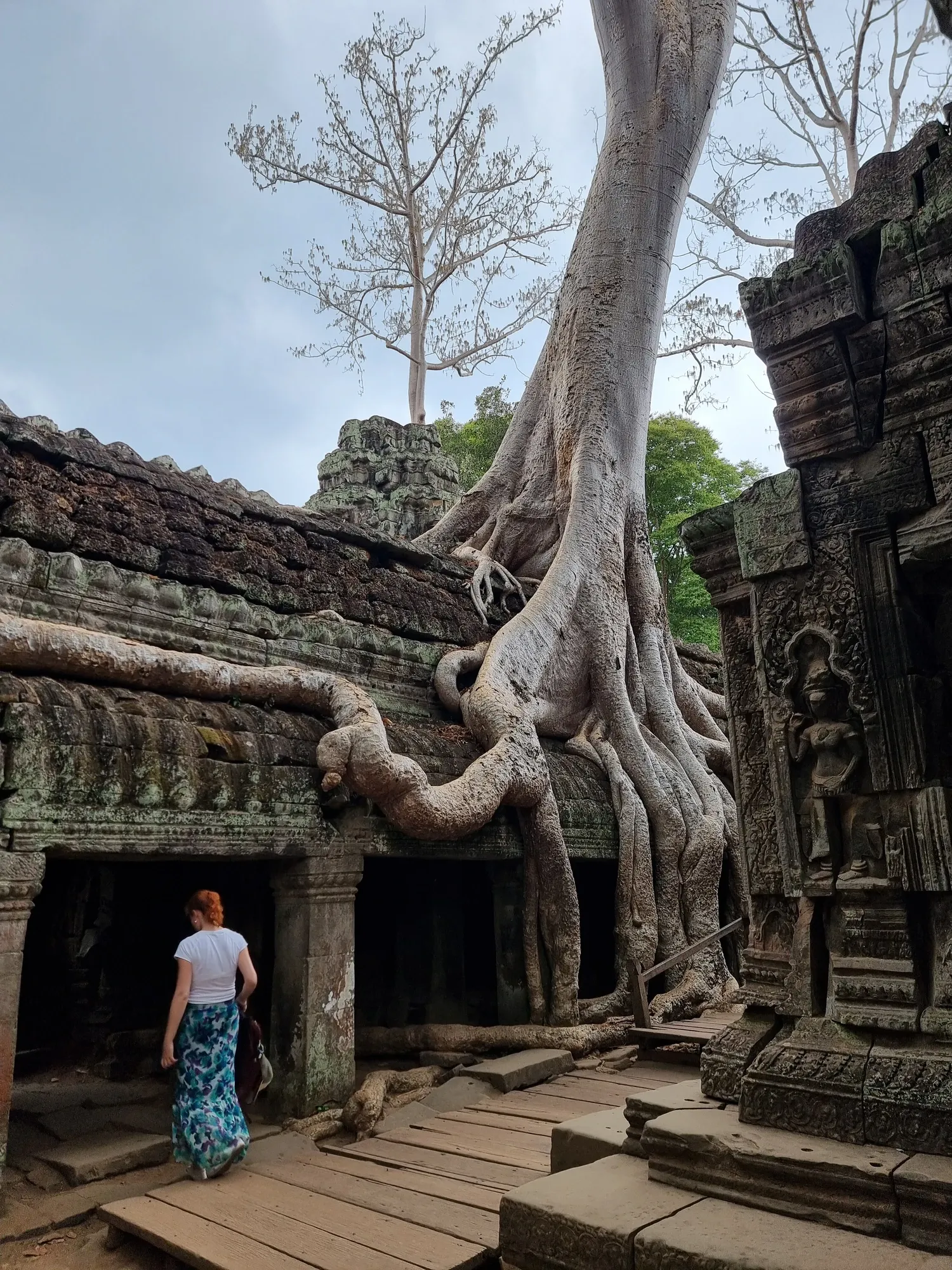 Ségolène, de dos, s'avance vers une porte de Ta Prohm, sous les énormes racines d'un arbre qui recouvrent le temple