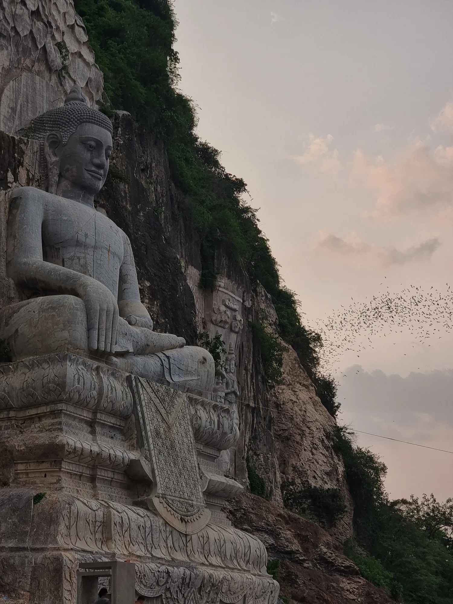 Grande statue de Bouddha assis au pied d'une falaise couverte de végétation, avec une nuée de chauves-souris dans le ciel rosé du soir