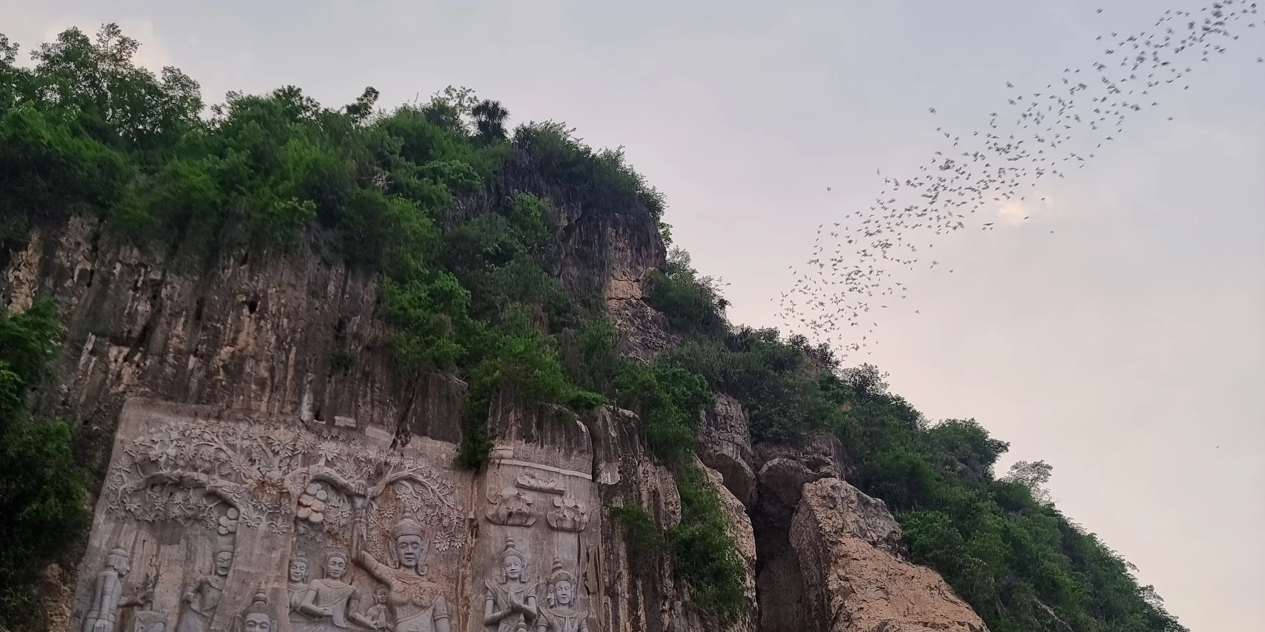 Une nuée de chauves-souris s'envole au crépuscule au-dessus de la falaise boisée de Phnom Sampov et de son grand relief sculpté, près de Battambang