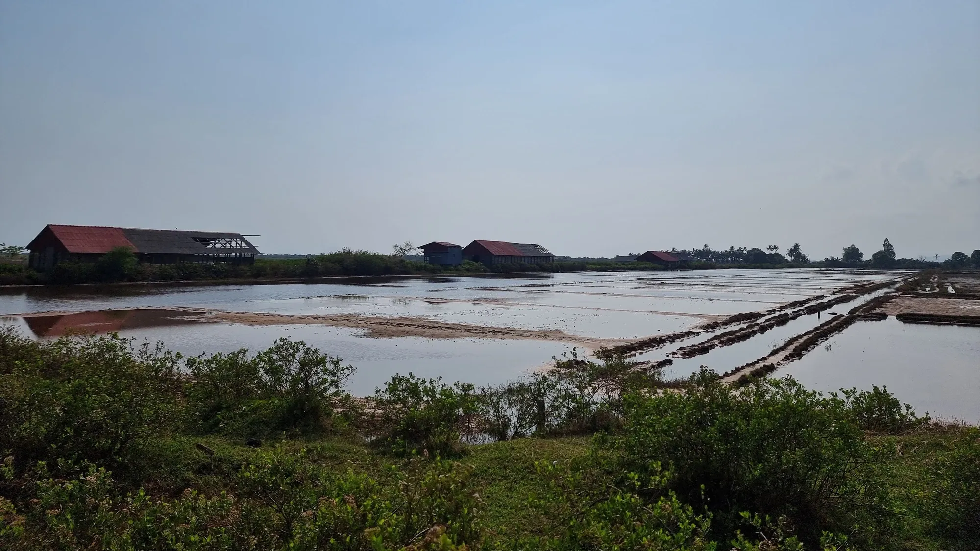 Les marais salants de Kampot sous un ciel voilé : bassins d'eau peu profonde, digues de terre et hangars aux toits rouges, avec des buissons au premier plan
