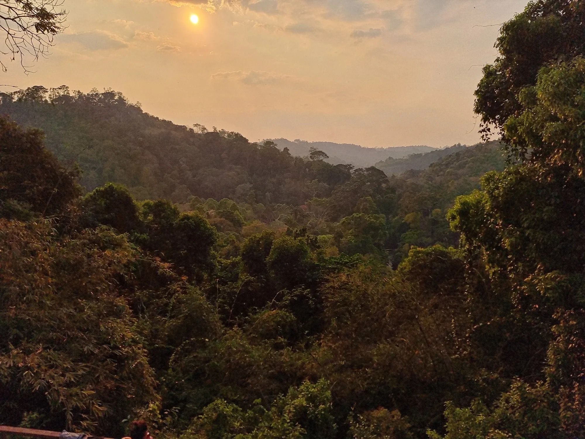 Le soleil bas au-dessus d'une vallée de jungle aux collines boisées, vue depuis le sanctuaire du Mondulkiri