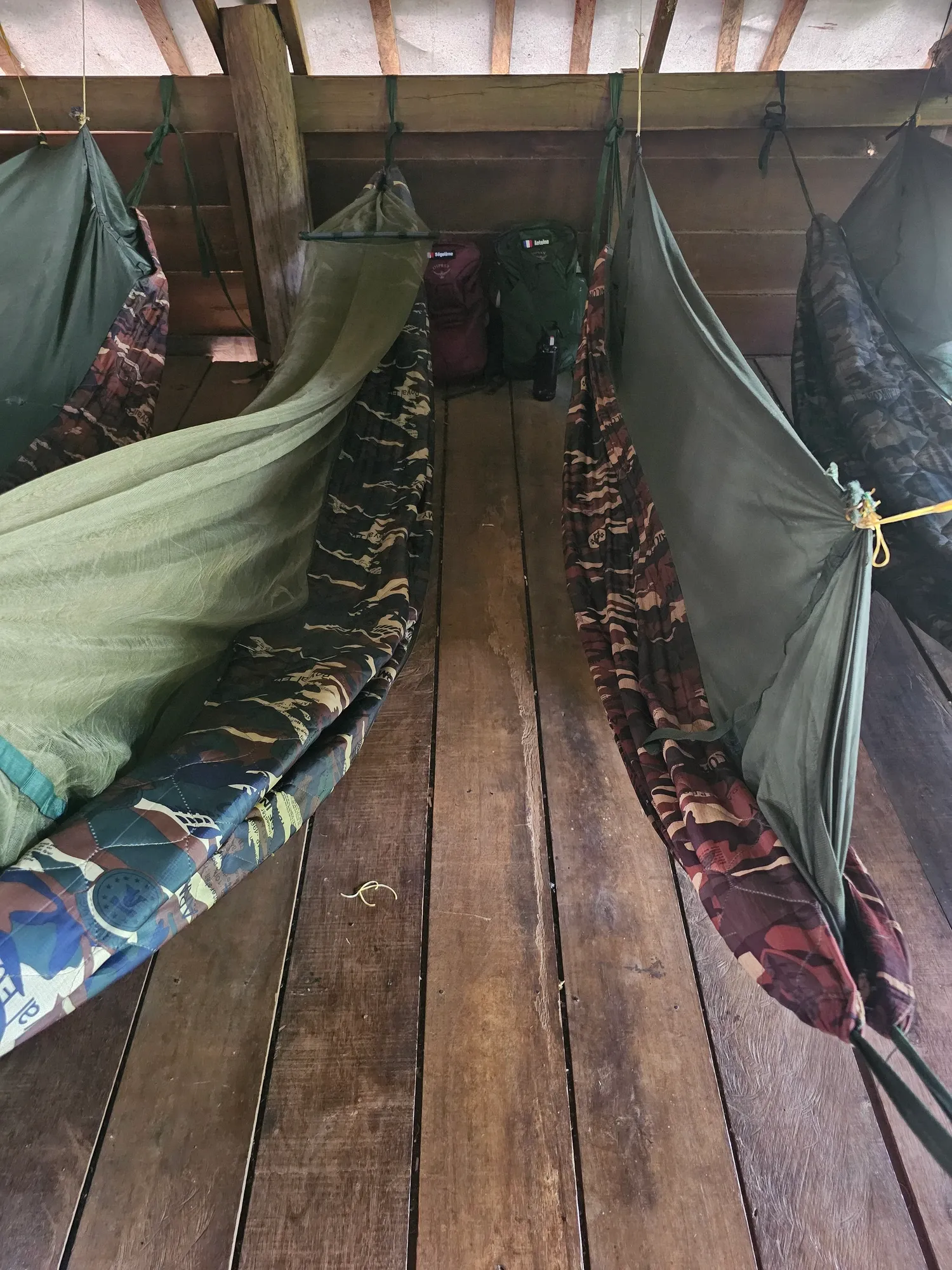 Des hamacs tendus avec leurs moustiquaires, de part et d'autre d'un plancher en bois, au Jungle Lodge, au matin