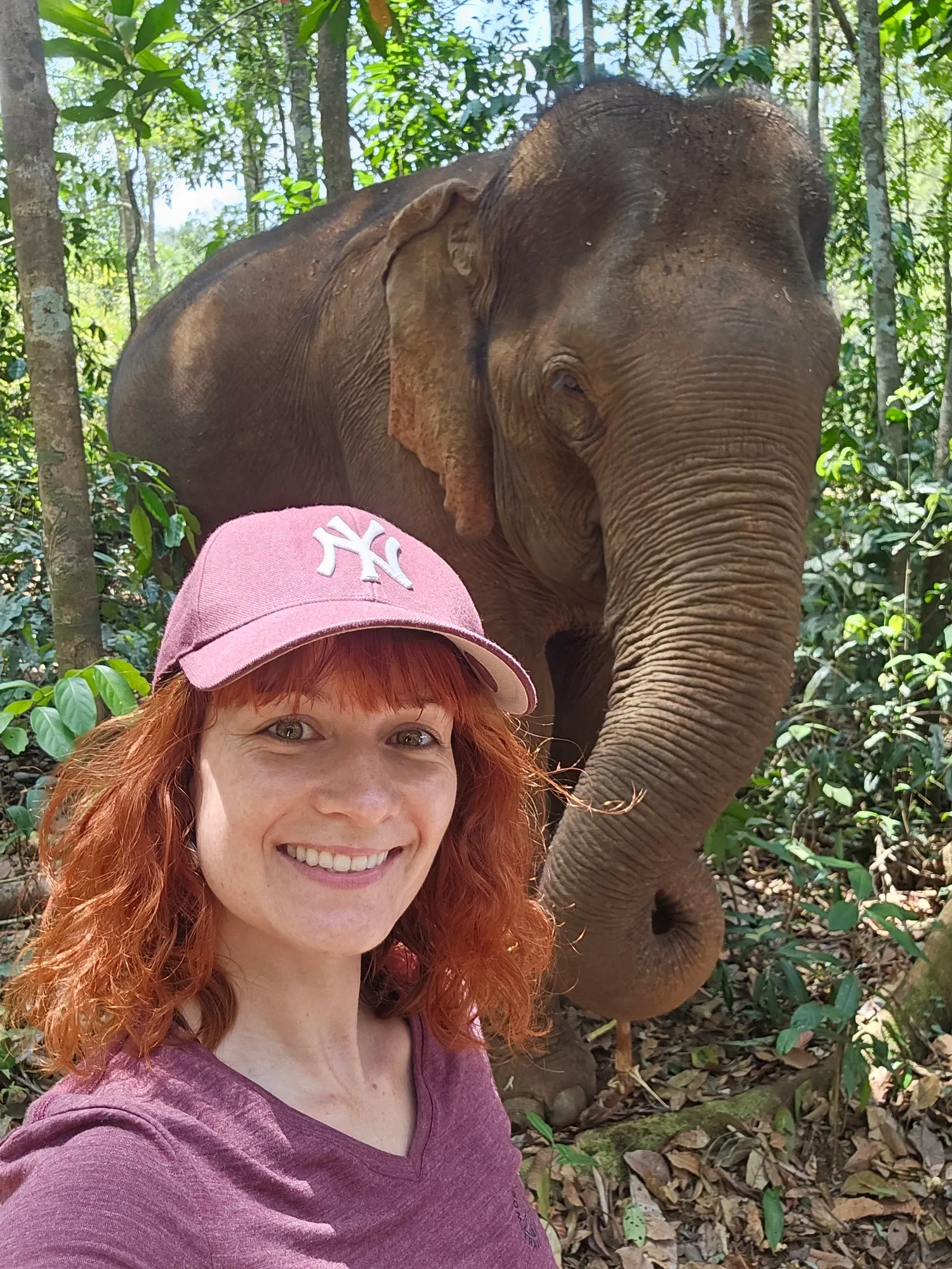 Ségolène, en casquette rose, fait un selfie devant un éléphant dans la forêt, sa trompe repliée près d'elle